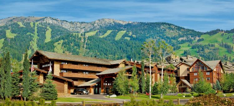 蛇河别墅温泉罗克度假酒店(Snake River Lodge & Spa)图片
