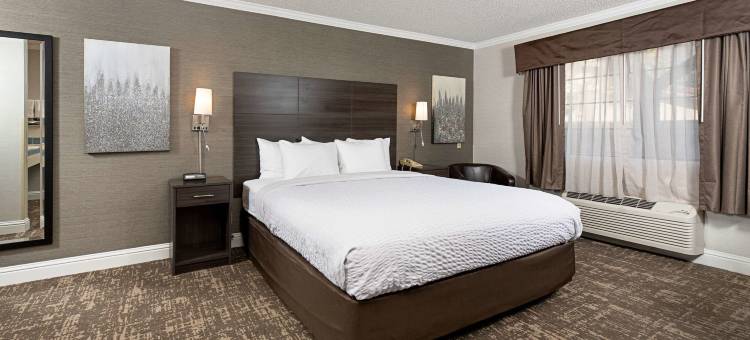 硅谷克拉丽奥酒店(Clarion Inn Silicon Valley)图片