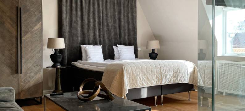 维斯堡博尔斯酒店(Hotell Visby Börs)图片