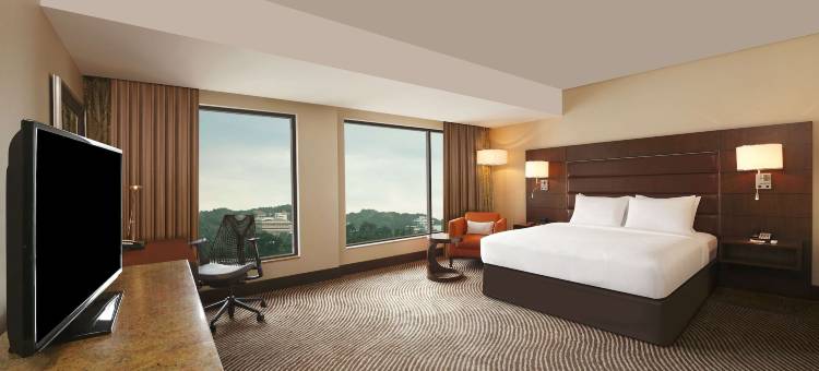 特里凡得琅希尔顿花园酒店(Hilton Garden Inn Trivandrum)图片