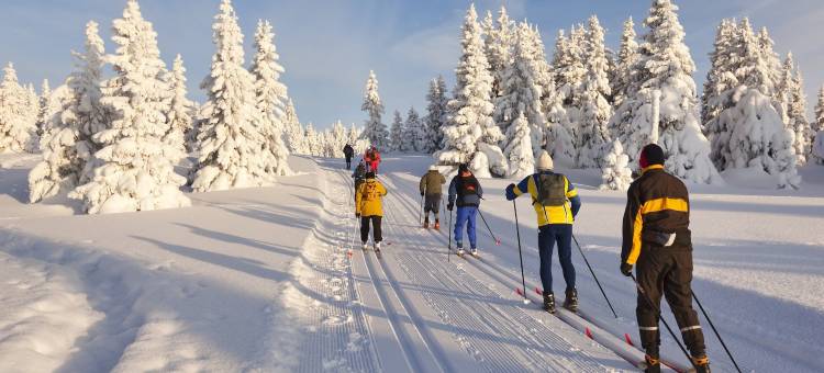 铁木市马格努森酒店(Magnuson Hotel Ironwood)图片