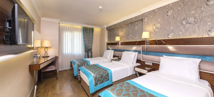 大雅乌兹酒店(Grand Yavuz Hotel Sultanahmet)图片