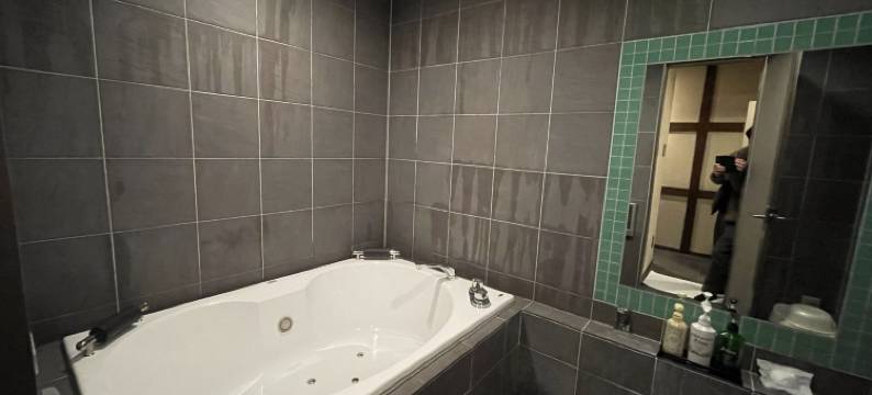 酒店风雅-大人限定(Hotel Fuuga - Adults Only)图片