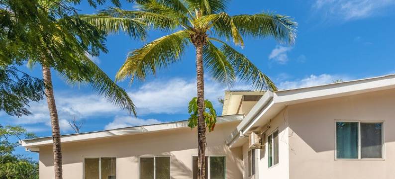 棕榈滩旅馆(Palm Beach Inn)图片