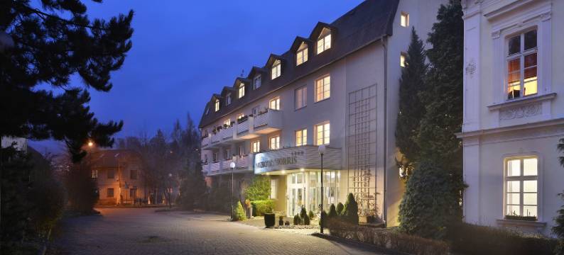 博尔诺维莫里斯公园酒店(Parkhotel Morris Novy Bor)图片