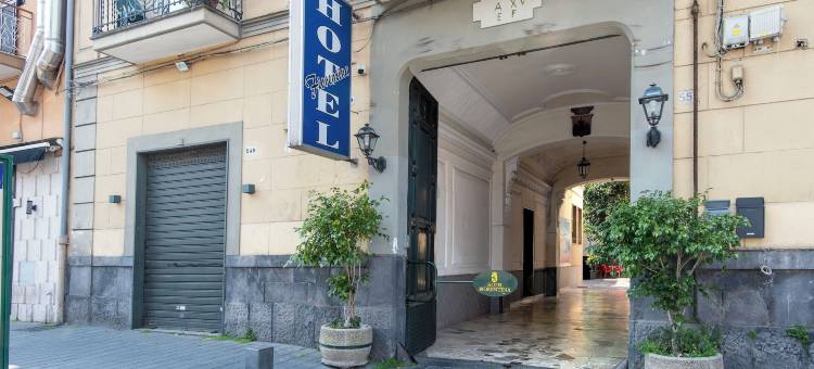 佛罗伦萨酒店(Hotel Fiorentina)图片