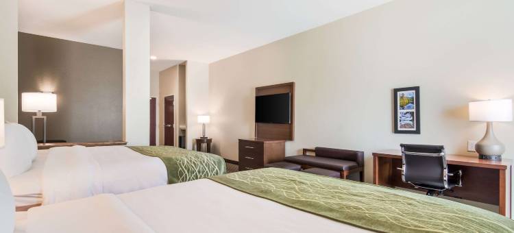 舒适套房酒店(Comfort Inn & Suites)图片
