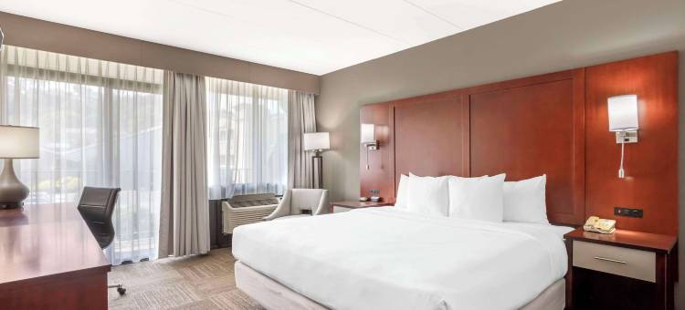 舒适酒店埃奇沃特哈德逊河畔(Comfort Inn Edgewater on Hudson River)图片