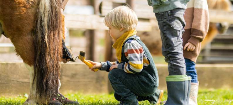 海特菲尔城堡酒店(Schloss Hertefeld & Hertefeldhof)图片