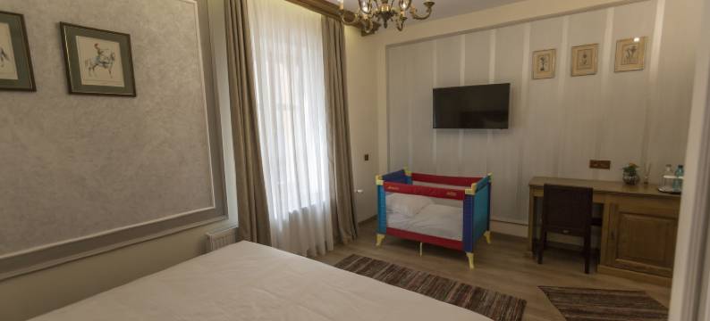 康德旅馆(Pensiunea Kant)图片