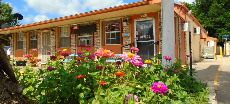 联排别墅汽车旅馆(Town House Motel)图片