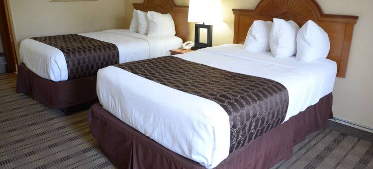林奇堡大学附近罗德威旅馆(Rodeway Inn Lynchburg Near University)图片