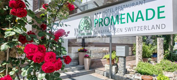海滨长廊酒店(Hotel Promenade)图片