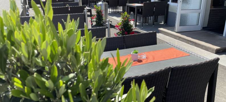 莫斯巴其酒店(Zur Morschbach)图片