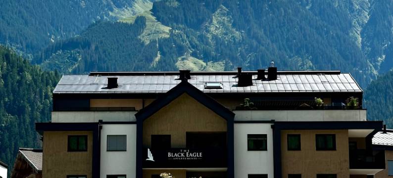 黑鹰豪华公寓(Black Eagle Luxury Appartements)图片