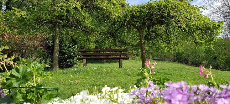 贝格贺夫酒店(Berghof Hotel)图片