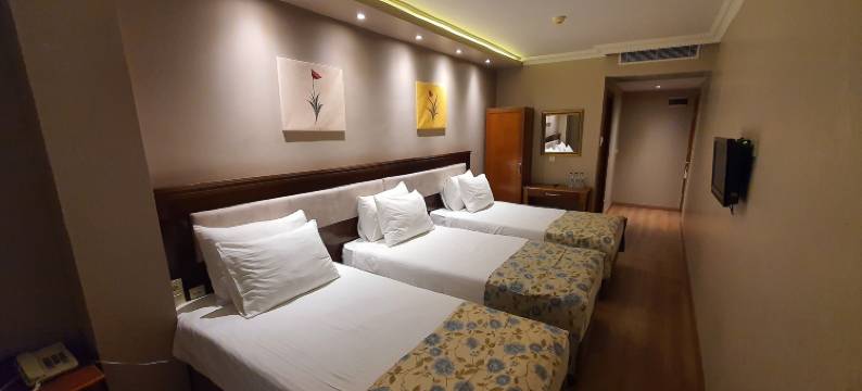 阿苏尔酒店(Asur Hotel)图片