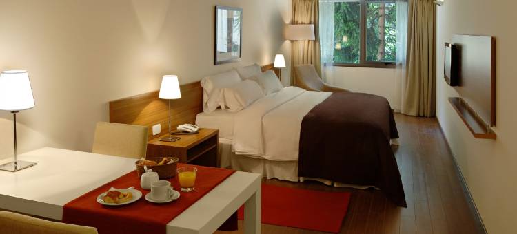 Dazzler by Wyndham Buenos Aires Maipú图片