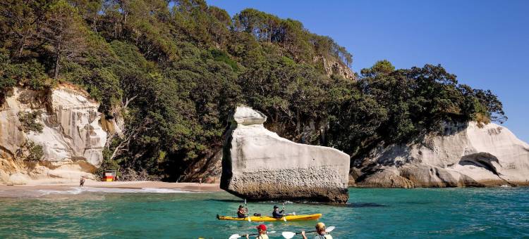 Hot Water Beach TOP 10 Holiday Park图片