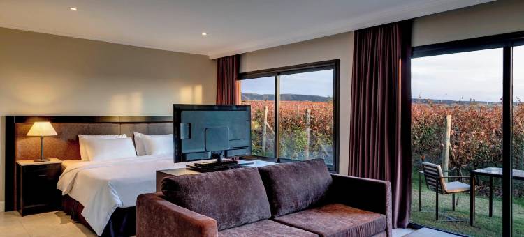 图蓬加托奥贝吉尔杜文酒店-臻品之选(Auberge du Vin, a Tribute Portfolio Hotel, Tupungato)图片