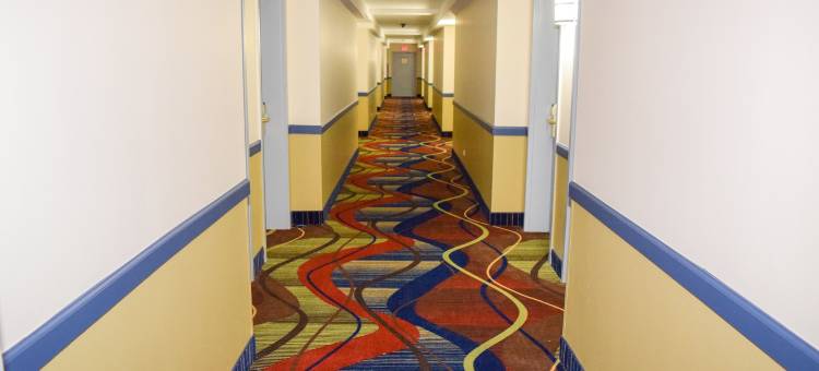 艾迪生温德姆呗盟酒店(Baymont by Wyndham Addison)图片