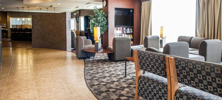 霍布斯美茵斯坦套房酒店(MainStay Suites Hobbs)图片