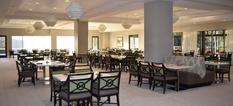 YO1长寿与健康度假村，猫山(YO1 Longevity and Health Resorts)图片