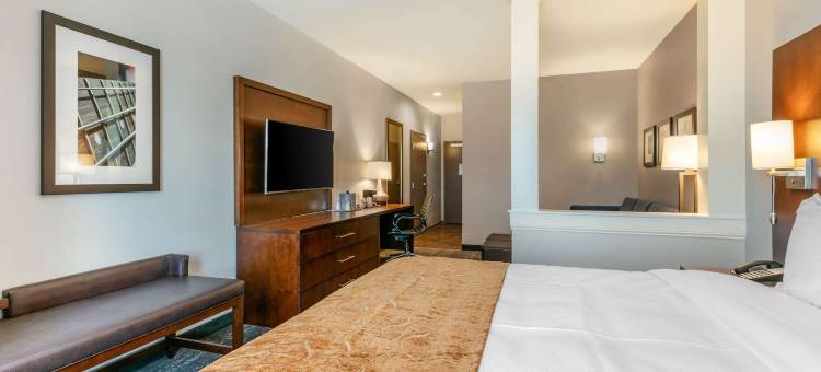 舒适套房(Comfort Suites North Tupelo)图片