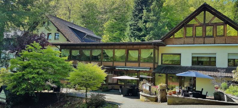 瓦尔德之家席耶格土地酒店(Siegerland-Hotel)图片