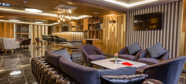 凯汉城市酒店(Kayhan City Hotel)图片