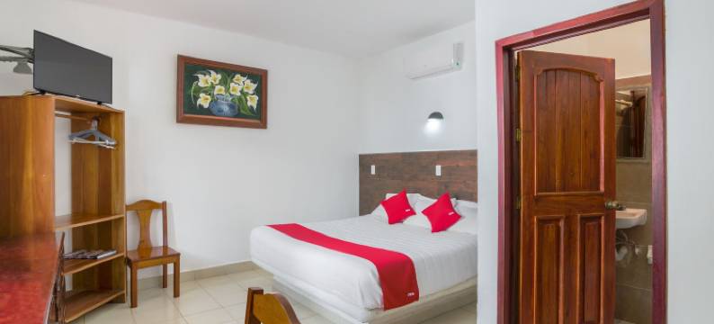 OYO 帕尔马皇家酒店(OYO Hotel Palma Real)图片