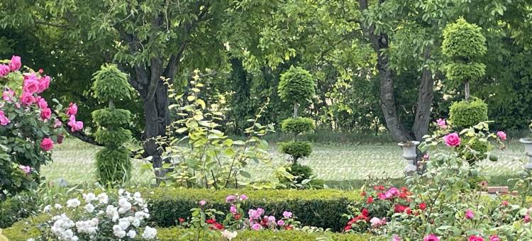 高级时装花园(Jardins Haute Couture)图片