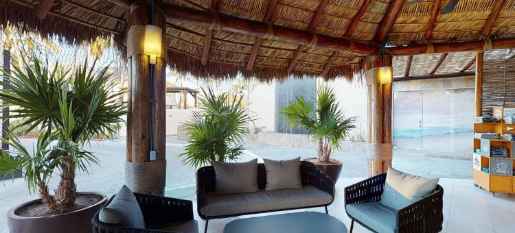 洛斯卡沃斯皇家公园家庭旅馆(Park Royal Homestay Los Cabos)图片