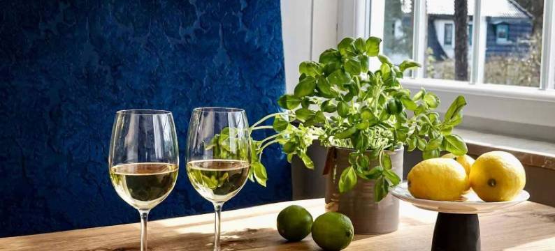 黑鹰住宅卢布明(Residence Black Eagle Lubmin Strand)图片