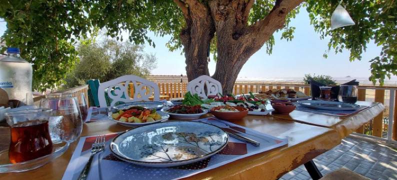 塔斯康纳克精品酒店平房(Tas Konak Butik Otel Bungalov)图片