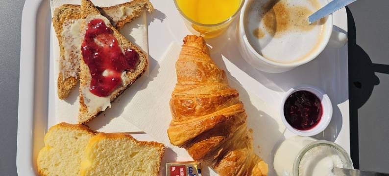 斯特拉斯堡西普瑞米尔经典酒店-泽尼特(Premiere Classe Strasbourg Ouest)图片