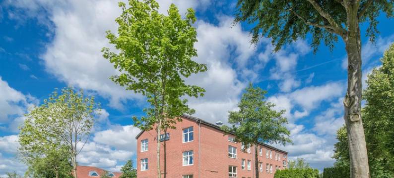 塔巴酒店(Taba Hotel)图片