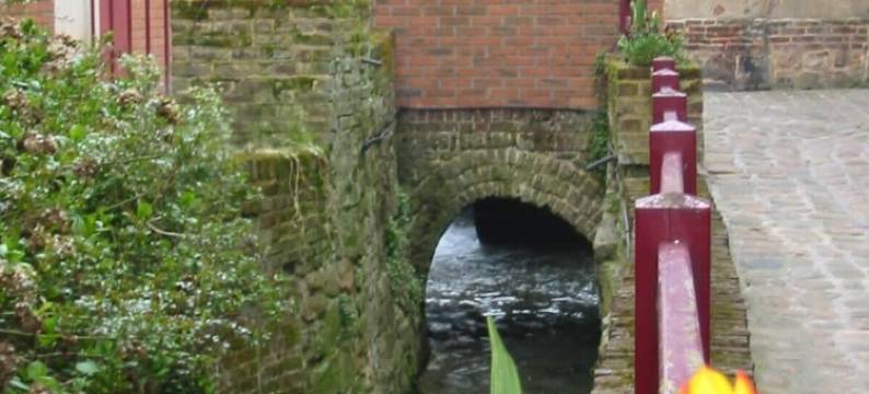 卡诺酒店(Logis-Hôtel & Restaurant le Carnot)图片