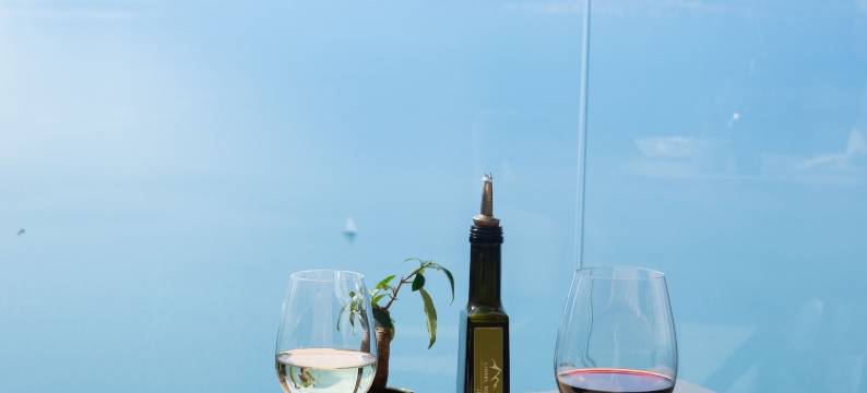 塔维涅伯爵 Spa 餐厅酒店(Le Baron Tavernier)图片