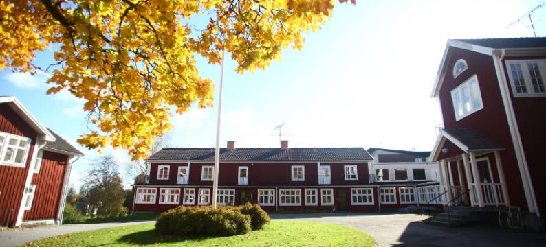 尼伊坦斯库罗特酒店(Nyhyttans Kurort)图片