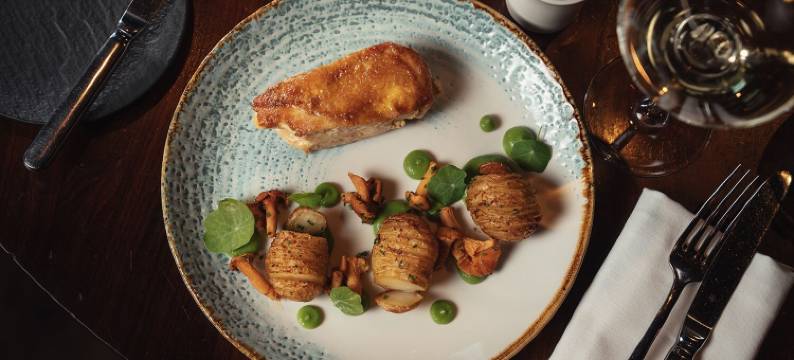 飞行员汉普郡(Aviator)图片