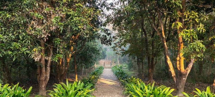 虎顶卡娜里旅馆(Tiger Tops Karnali Lodge)图片