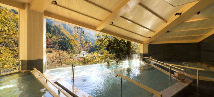 黑部市宇奈月杉乃井溫泉Yamanoha酒店(Kurobe Unazukionsen Yamanoha)图片