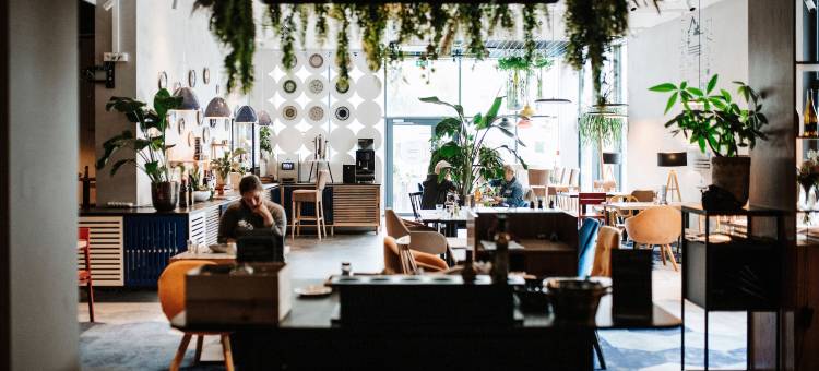 宜必思尚品博莱斯瓦维茨酒店(Ibis Styles Boleslawiec)图片