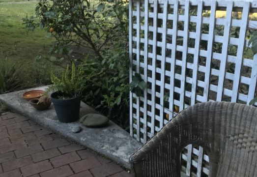 Gipsy Point Lodge Hotel Overview