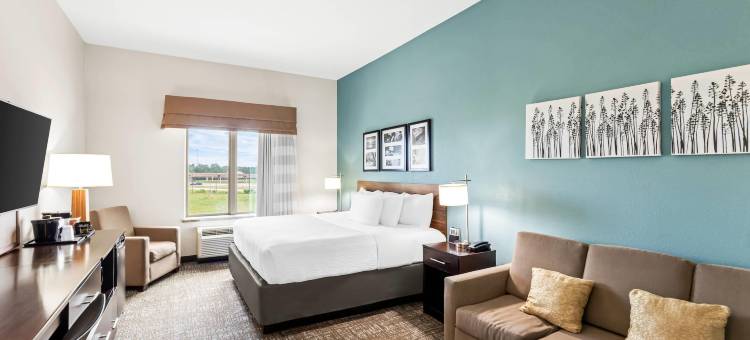 拉夫金舒眠酒店(Sleep Inn Lufkin)图片