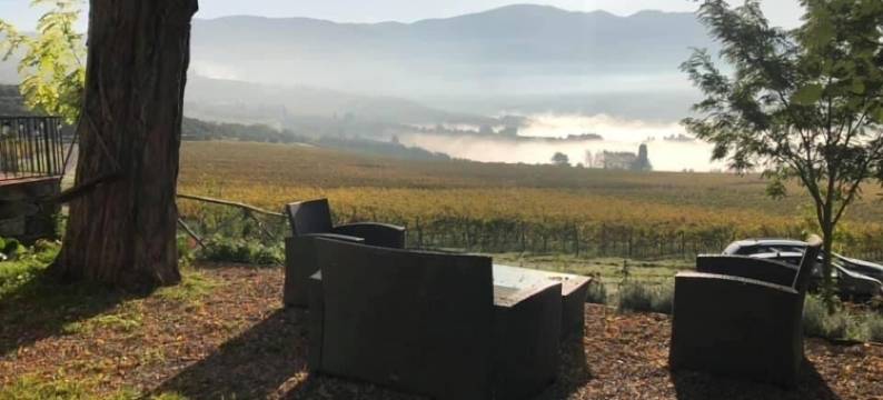 AZIENDA AGRICOLO IL POGGIOLINO图片