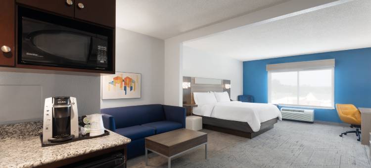 智选假日套房酒店亨茨维尔北(Holiday Inn Express & Suites Huntsville West - Research PK)图片