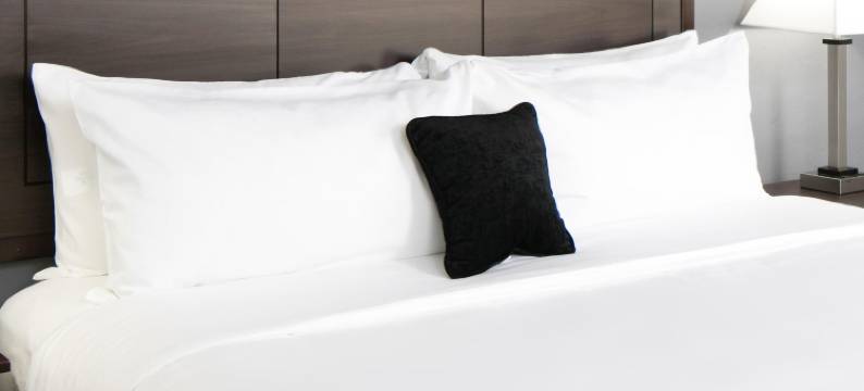 皇家旅馆及套房(Royal Inn & Suites)图片