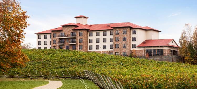 智选假日套房酒店列克星敦的NW -葡萄园(Holiday Inn Express & Suites LEXINGTON NW-THE VINEYARD by IHG)图片